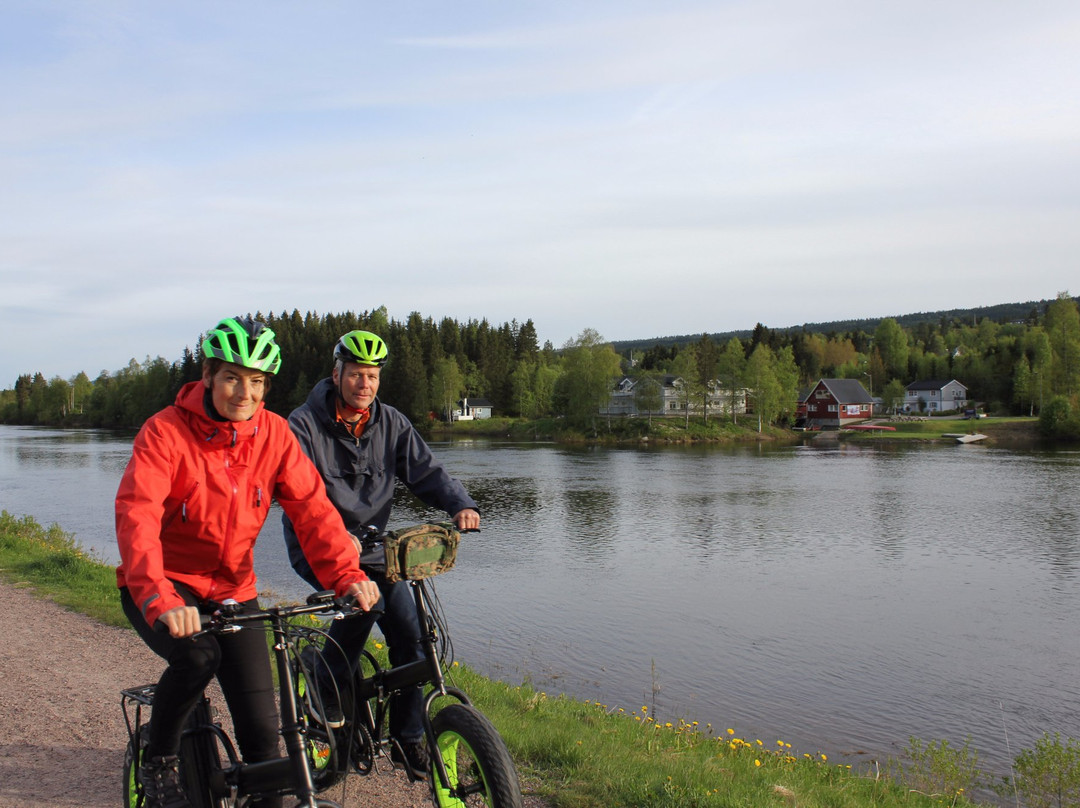 Smart Electric Fatbike Tours景点图片