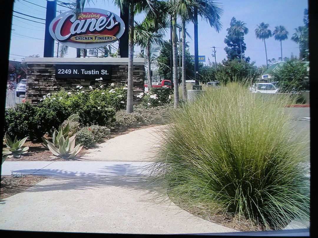 Raising Cane's Chicken Fingers