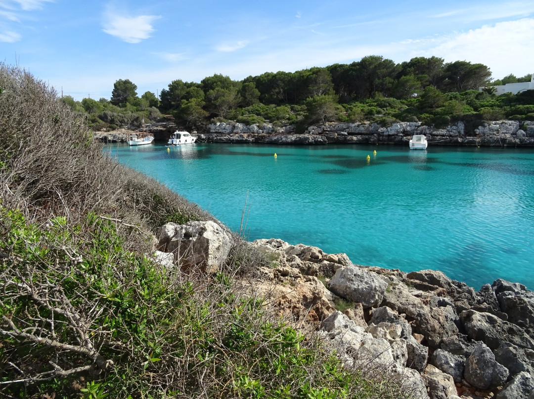 Cala Blanca Beach景点图片