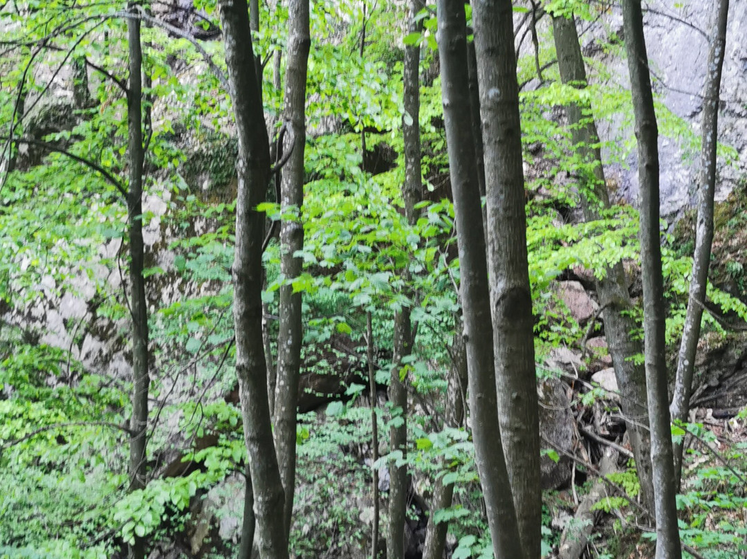 Skakalo-Divcibare必去景点