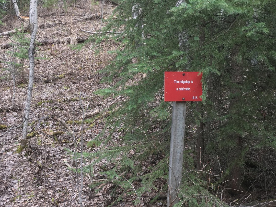 Fish Creek Community Forest-Fort St. John必去景点