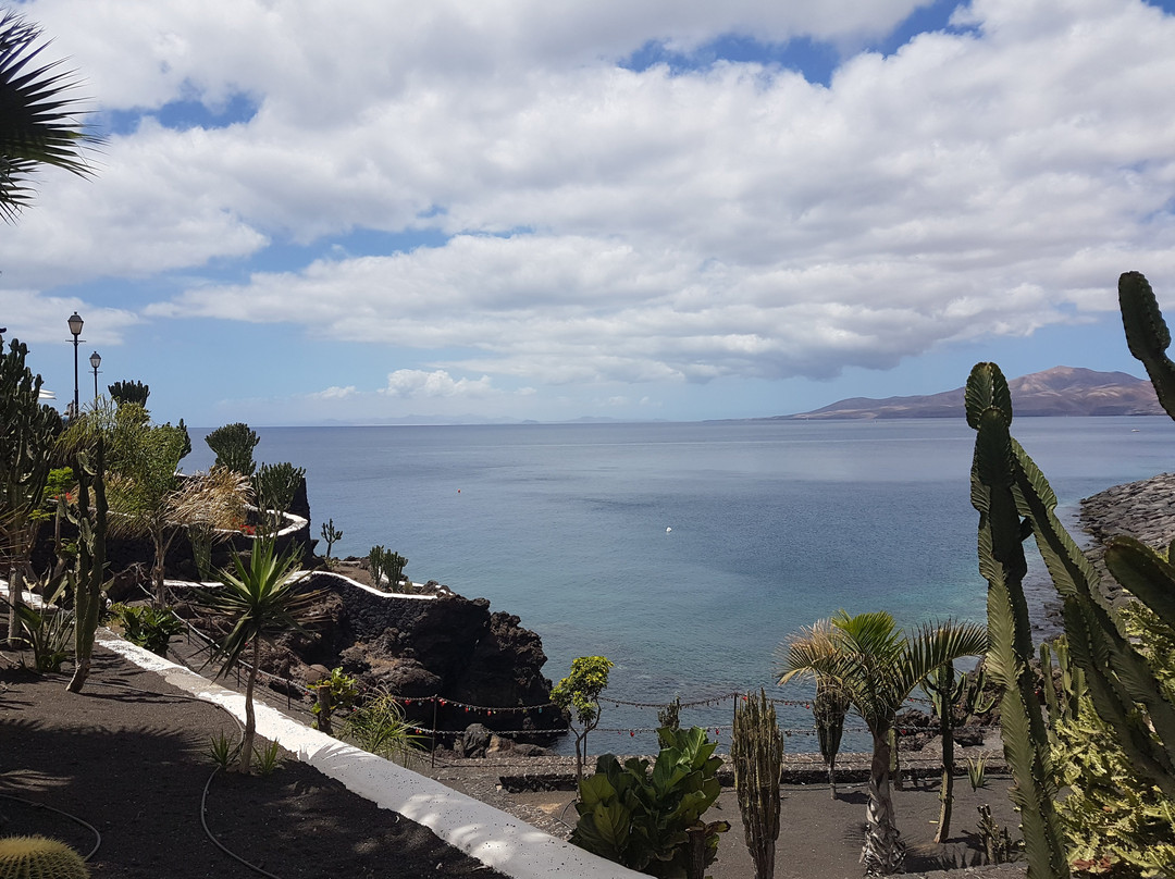 Freediving Lanzarote-卡拉罗港口必去景点