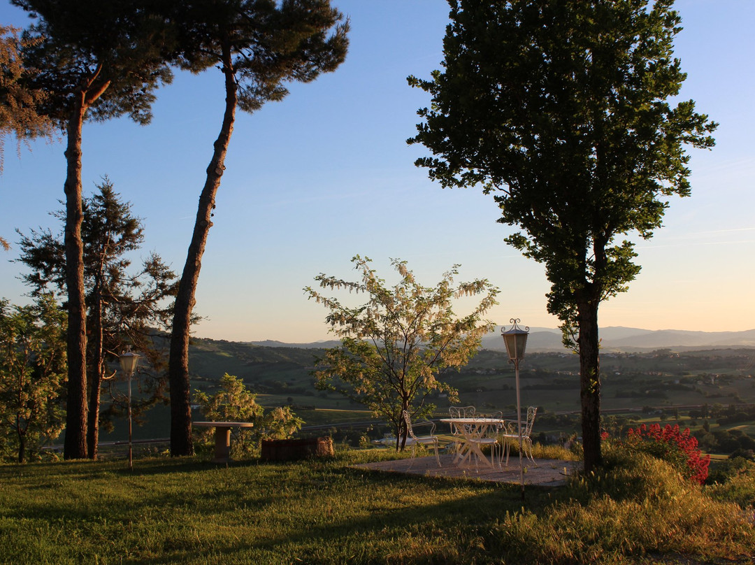 B&B Collesole