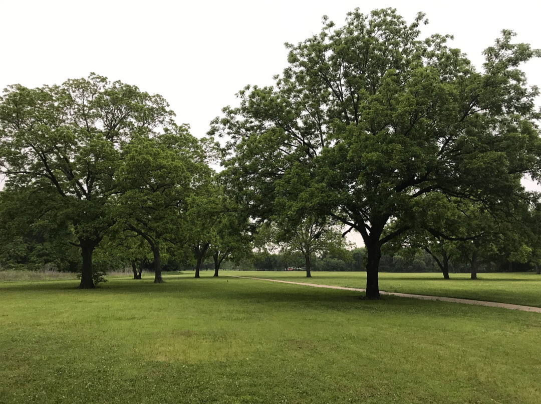 Bob Woodruff Park-普莱诺必去景点
