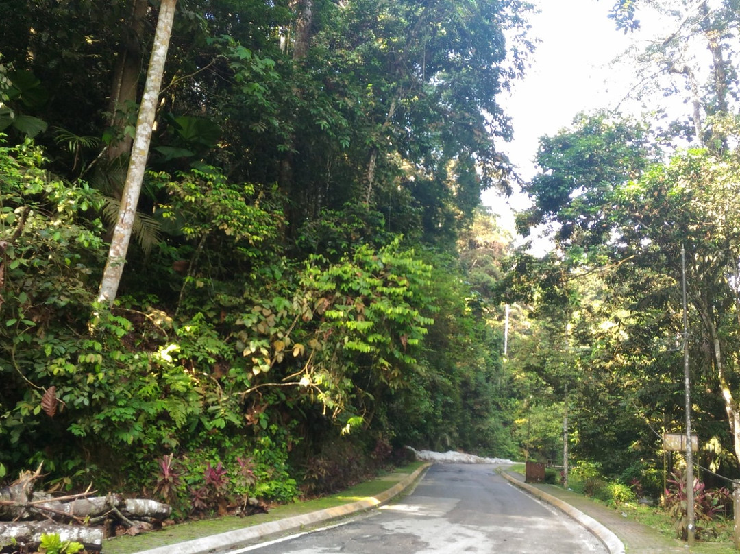Ampang Recreational Forest景点图片