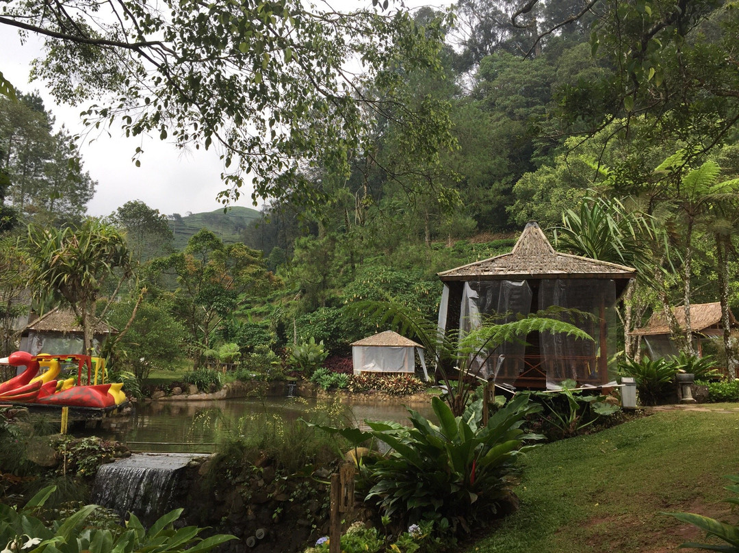 Melrimba Garden