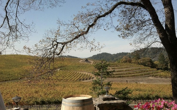 Silver Service Tours-Sebastopol必去景点