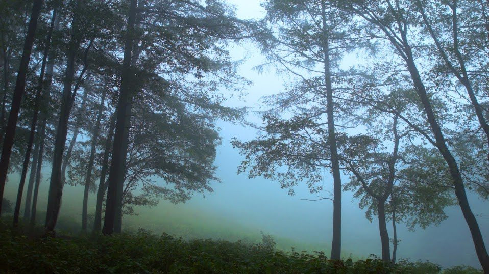 Kurohime Highland-信浓町 必去景点