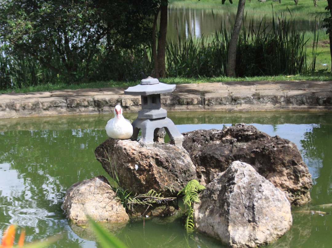 Lago Artificial Prof. J. K. Williams景点图片