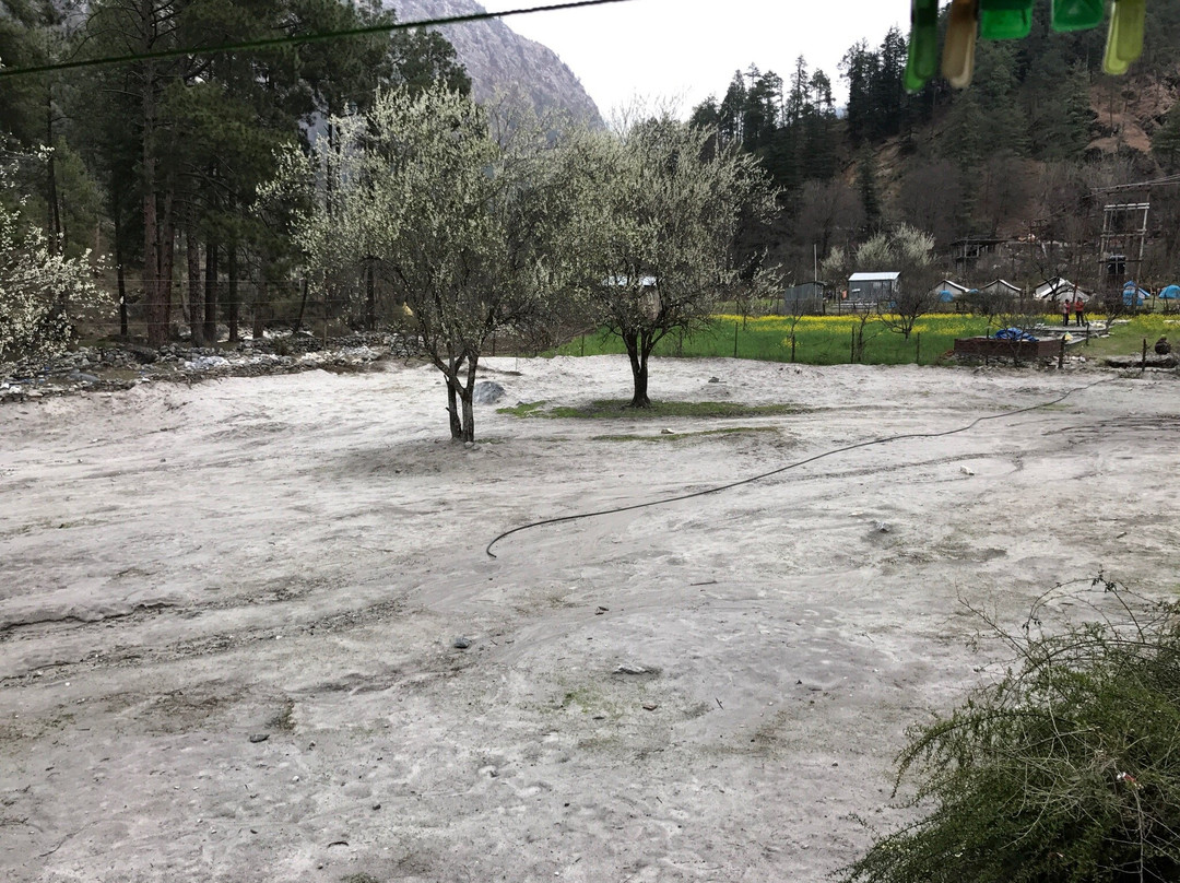 Parvati Woods Cottage主图