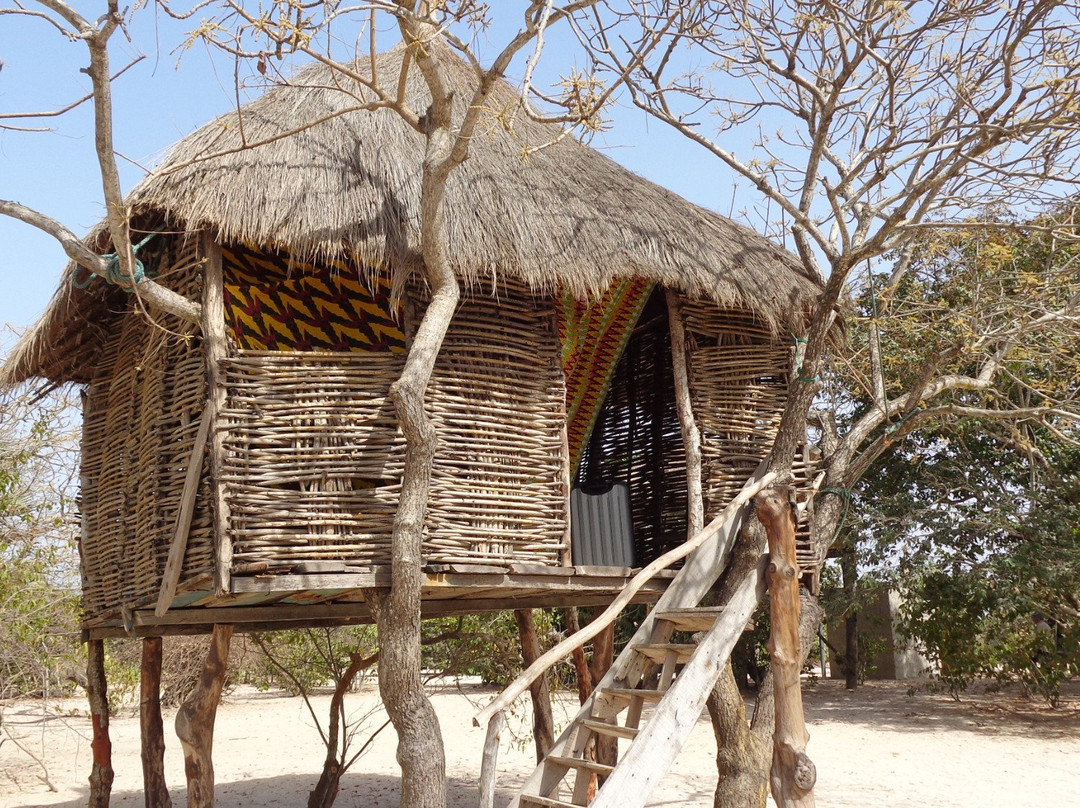 Campement de l'Ile d'Effrane主图