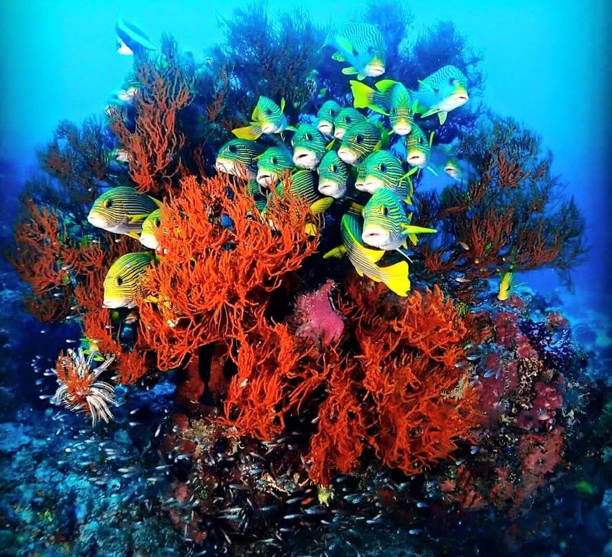 Kele Surf School-喀巴里特必去景点