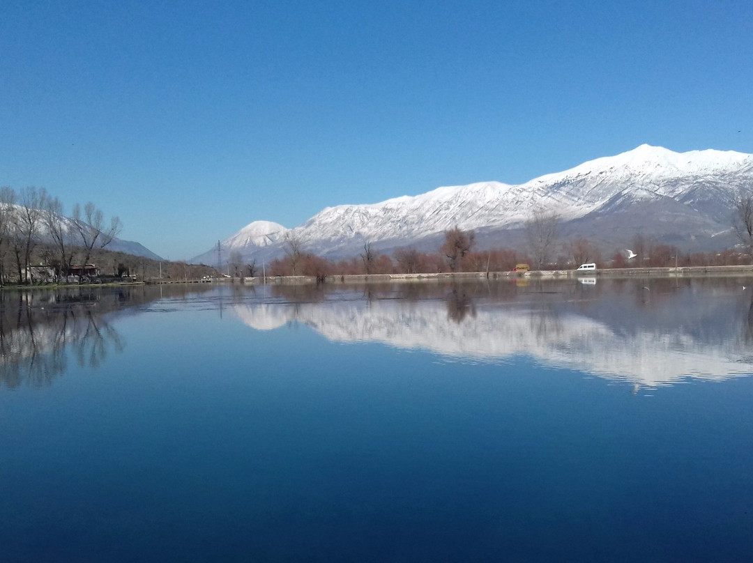 Nature&joy景点图片