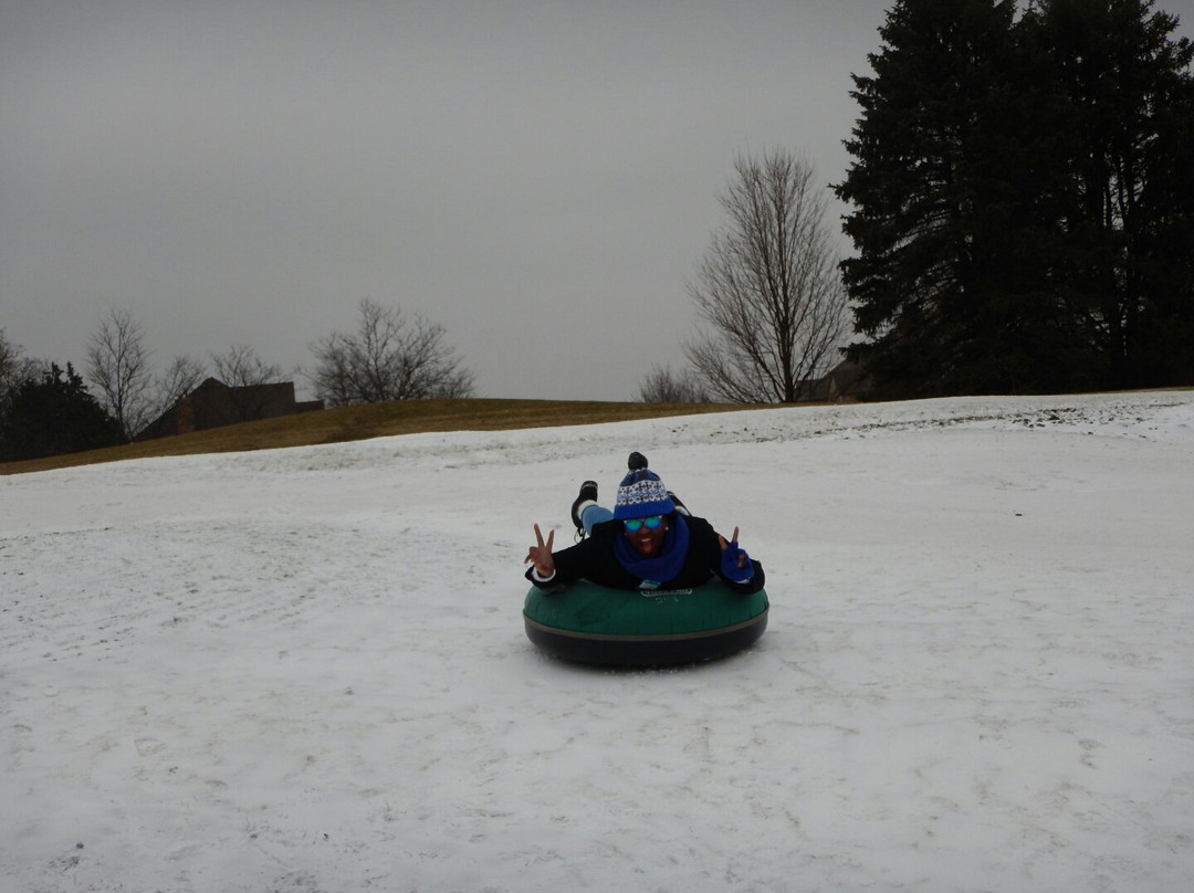 Villa Olivia-Bartlett必去景点