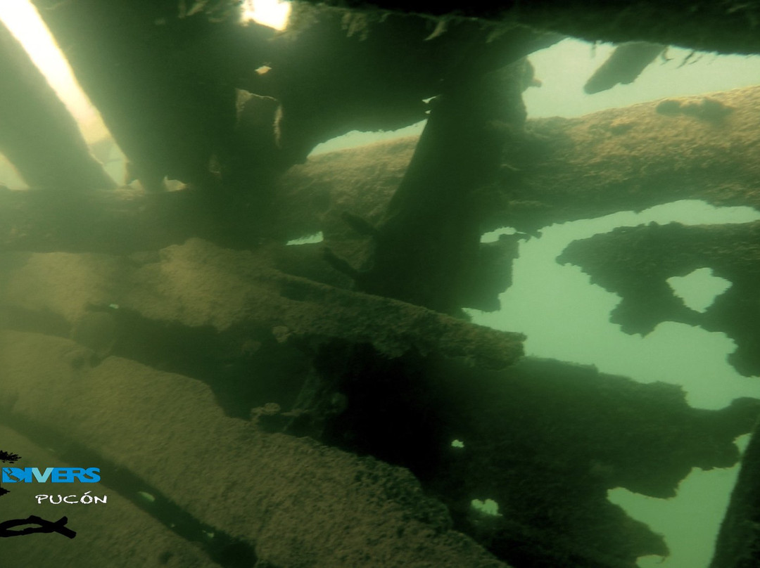 Ecodivers Pucon-普孔必去景点