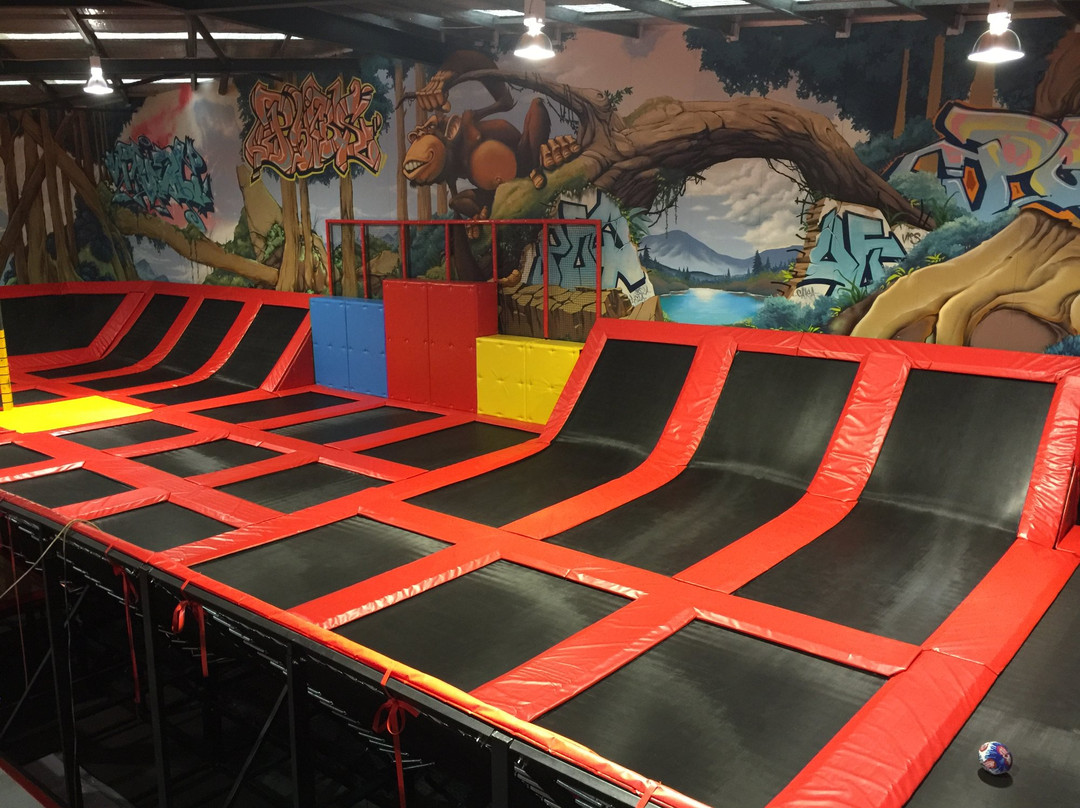 Sky High Indoor Trampoline Park景点图片