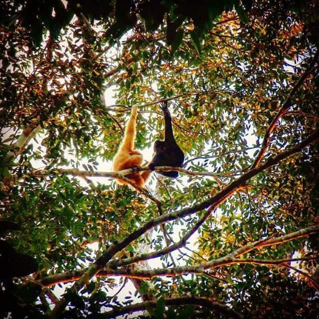 Sunrise Tour-邦隆必去景点