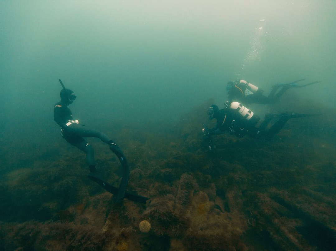 Aquacity Freediving-赫尔斯顿必去景点