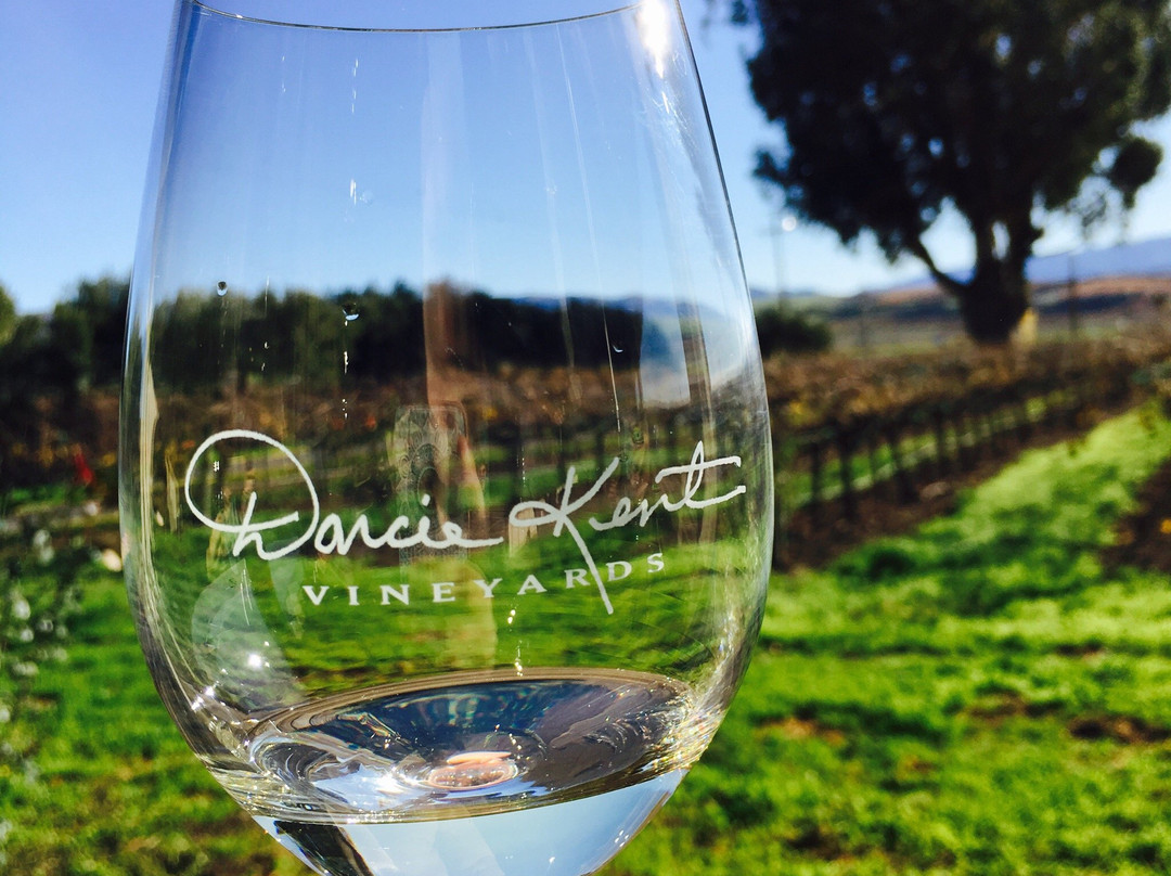 Darcie Kent Vineyards-利佛摩必去景点