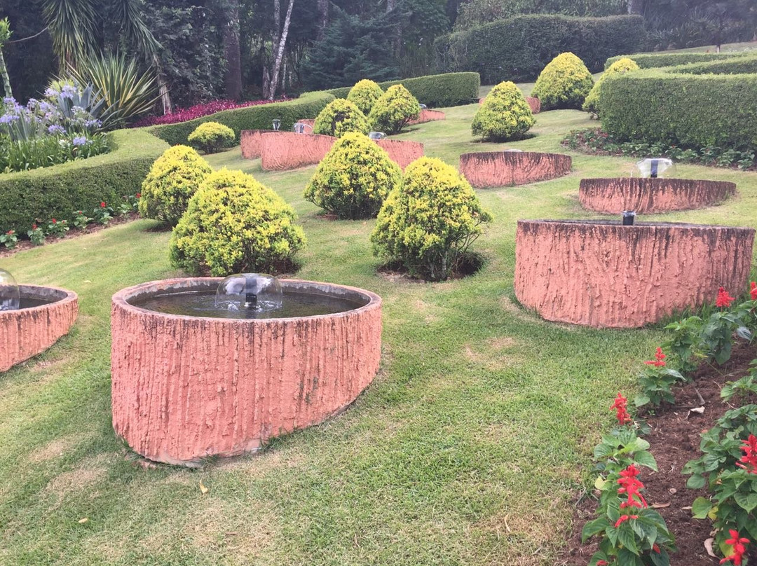 圣安东尼奥杜皮尼亚尔旅游景点-Jardim dos Pinhais Ecco Parque