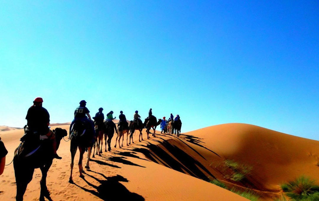 Sahara Chauffeur Travel景点图片