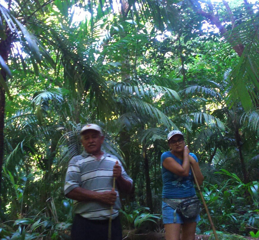 Reserva Ecologica Benito Juarez景点图片