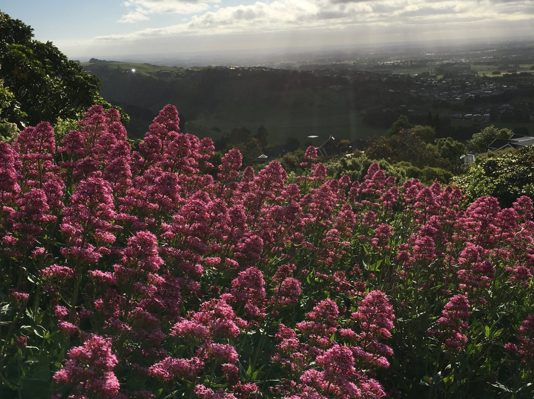 Cashmere Hill Lookout-基督城必去景点