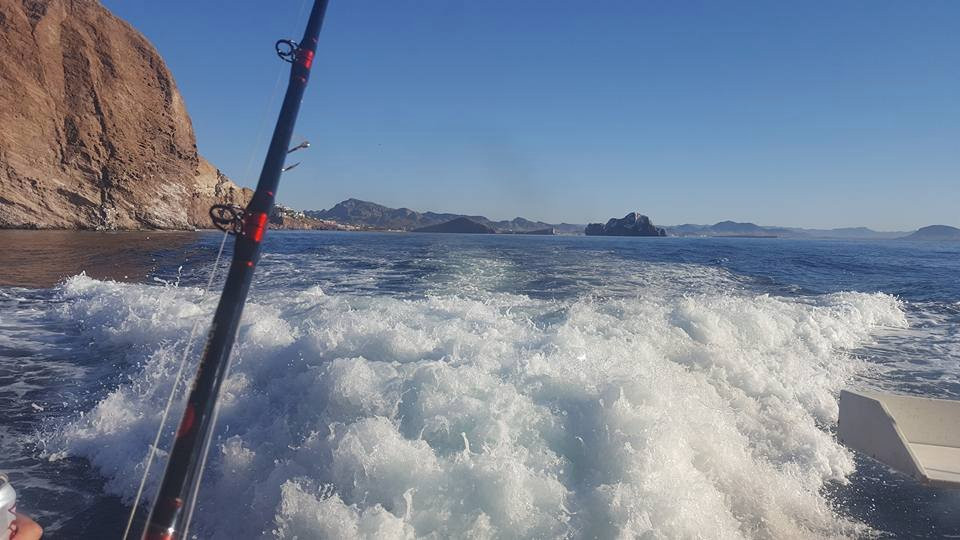 San Carlos Fishing Charter景点图片