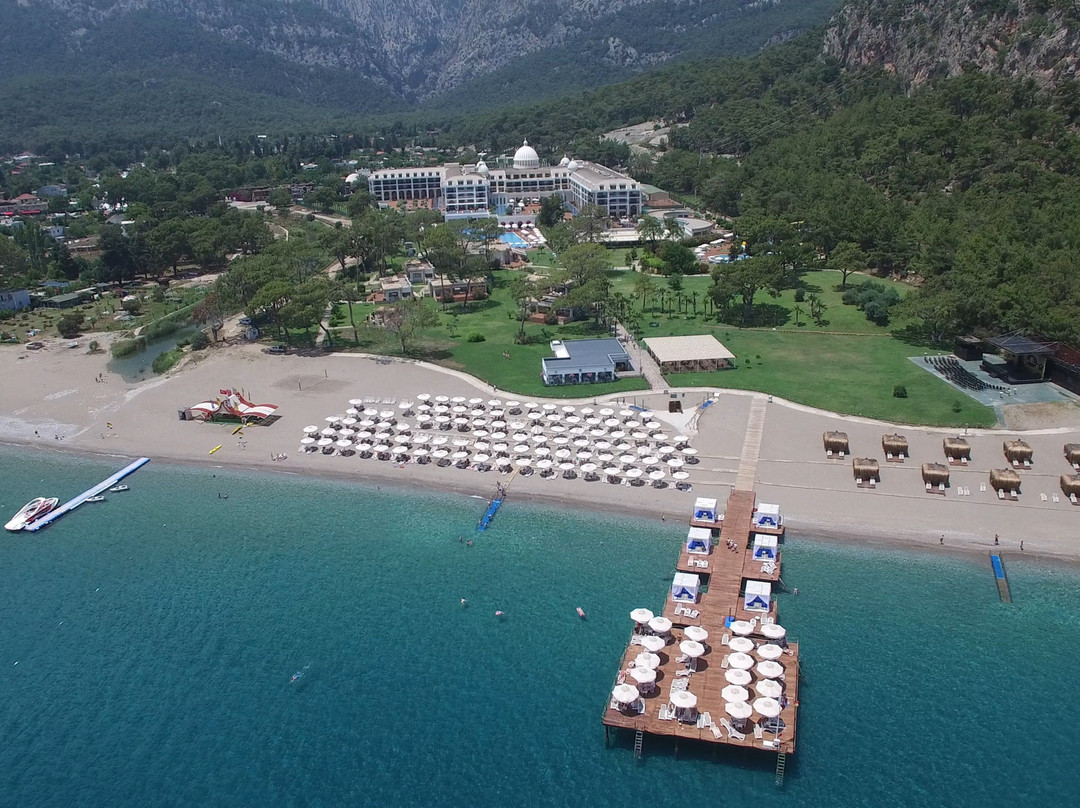 Juju Premier Palace主图