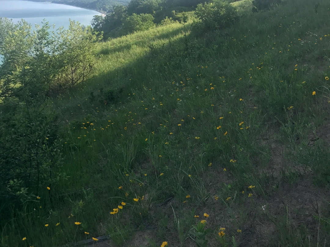 Cottonwood Inn主图