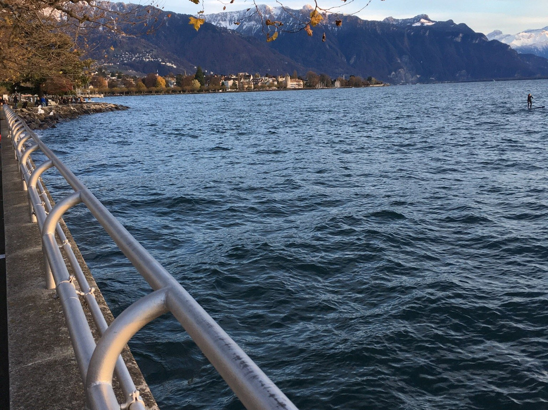Swisspaddle Vevey-沃韦必去景点