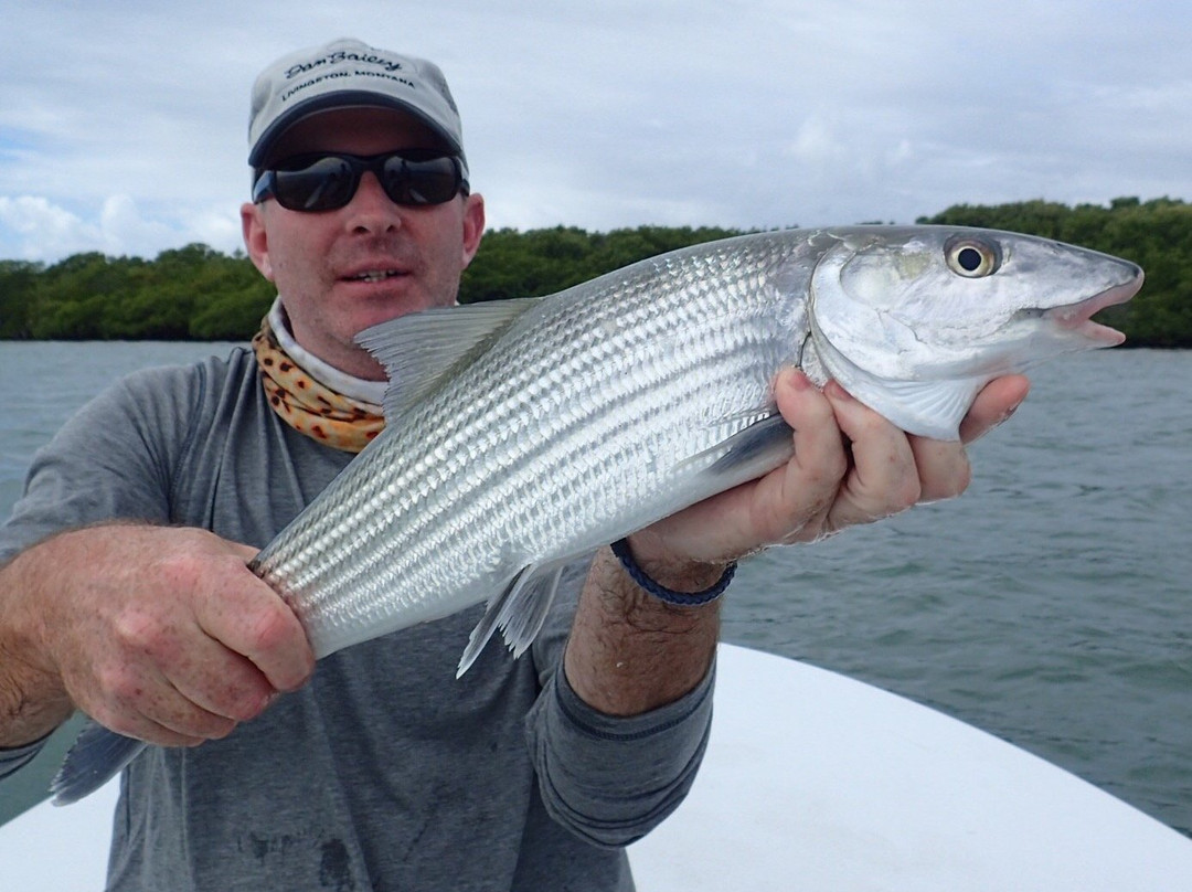 Shallow Tails Guide Service-迈阿密必去景点
