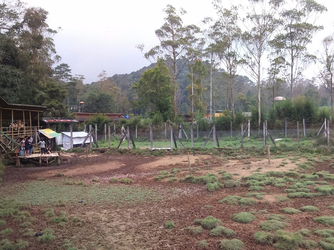 Kampung Cai Ranca Upas-万隆必去景点