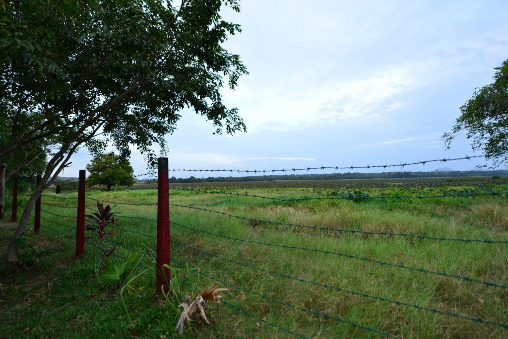 Govipala Cottage - Sigiriya, Sri Lanka主图