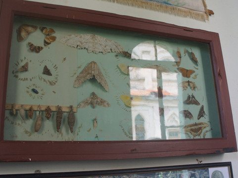 Sao Norberto Museum-Pirapora do Bom Jesus必去景点