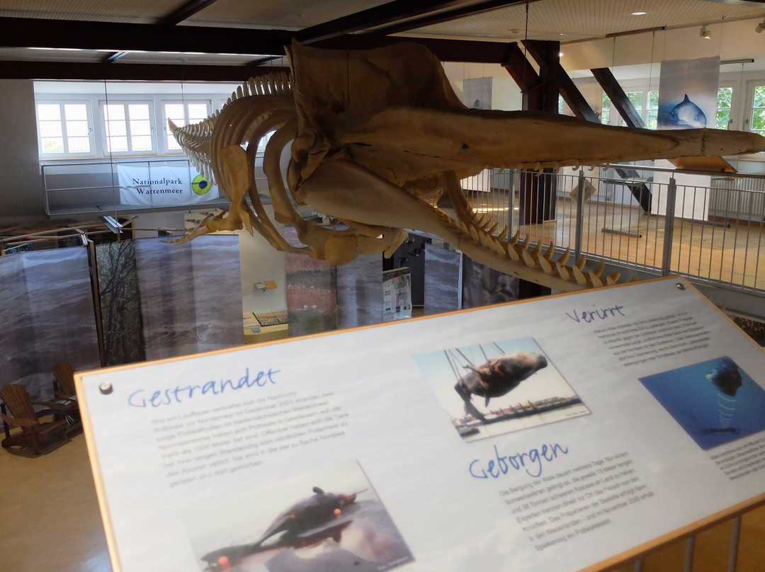 Nationalpark-Haus Wittbulten-斯匹科罗格必去景点