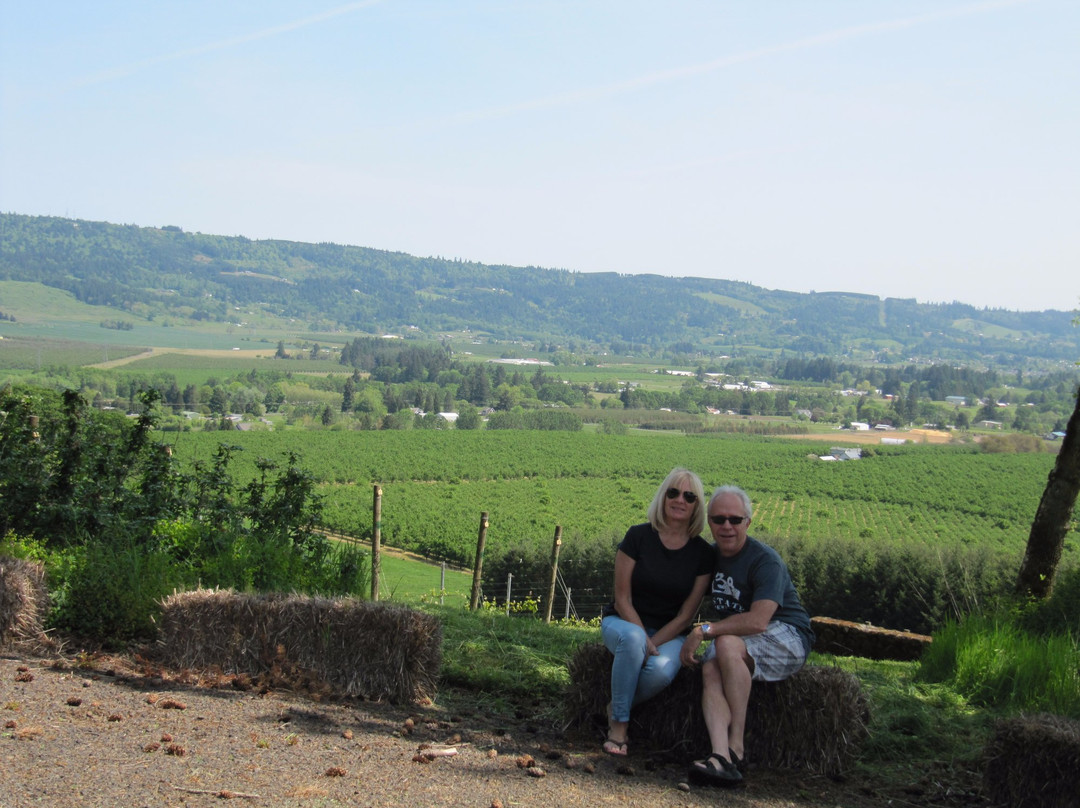 Anderson Family Vineyard景点图片