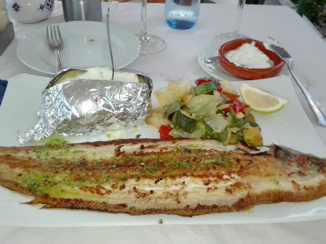 La Blanca Paloma