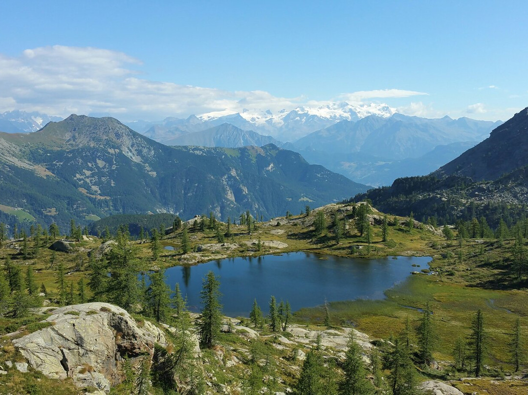 Natural Park Mont Avic景点图片