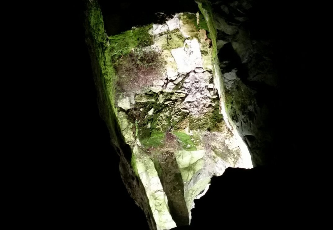 Roquefort Cheese Caves景点图片