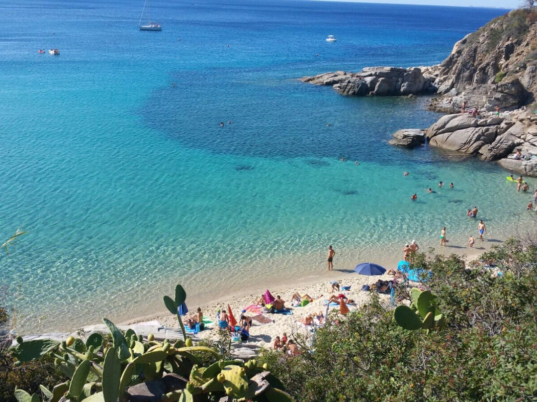 Spiaggia di Cavoli景点图片