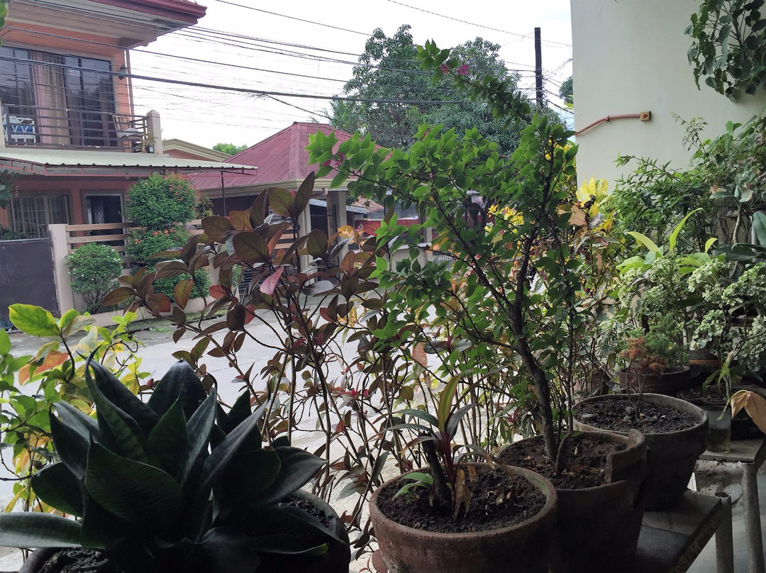 Katerclei Lodge and Serviced Apartelle