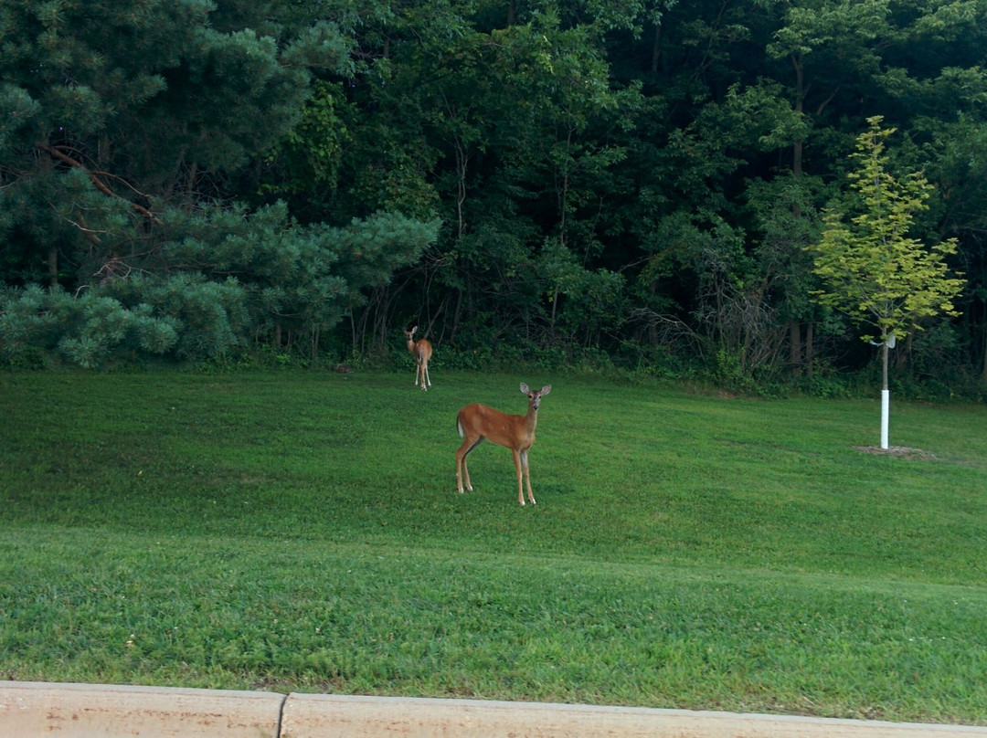 Assisi Heights-罗切斯特必去景点