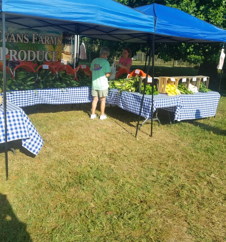 Historic Lewes  Farmers Market-刘易斯必去景点