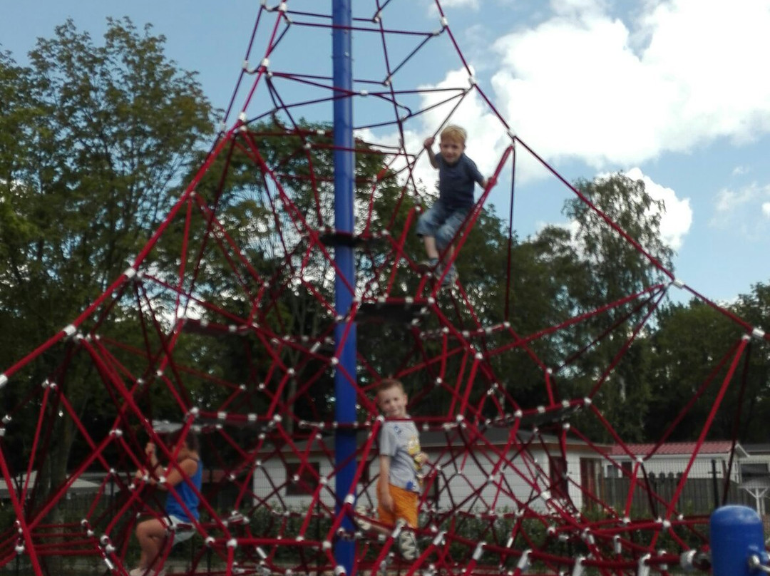 Kids Wonderland-Molenschot必去景点