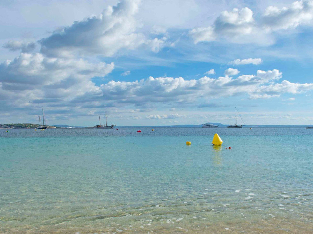 Ruta Palmanova - Magaluf-卡尔维亚必去景点