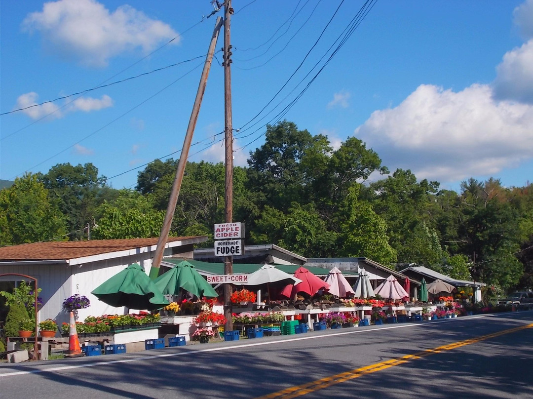 Vinnie's Farm Market-Saugerties必去景点