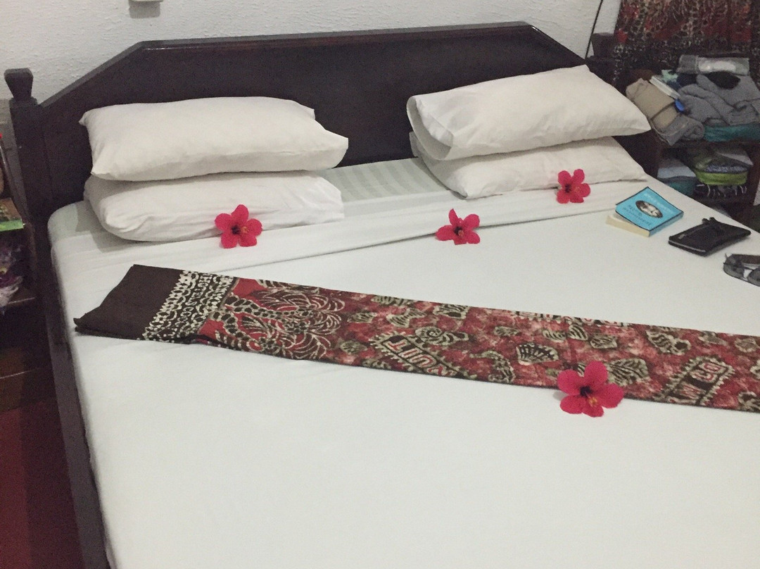 Coconut Grove African Village主图