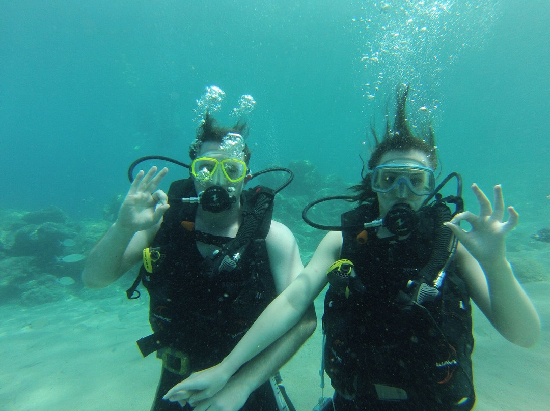 Dream Dive Centre景点图片