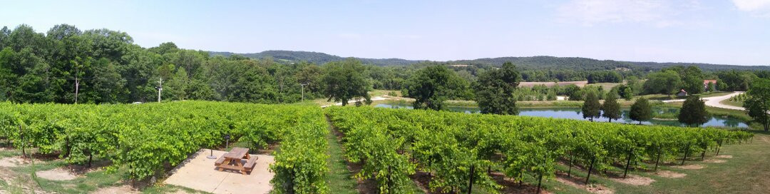 Chandler Hill Vineyards景点图片